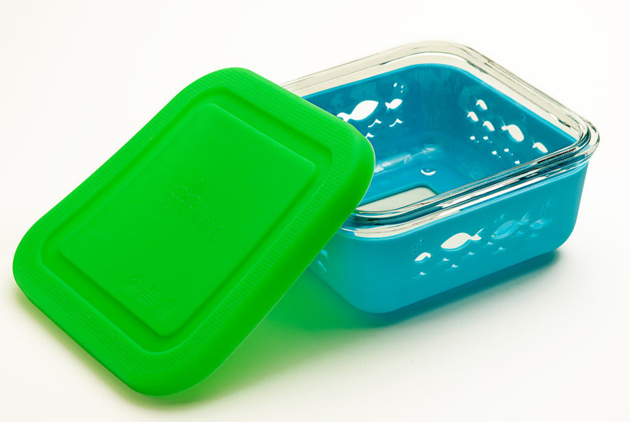 Borosilicate Glass and Silicone Container – Brinware