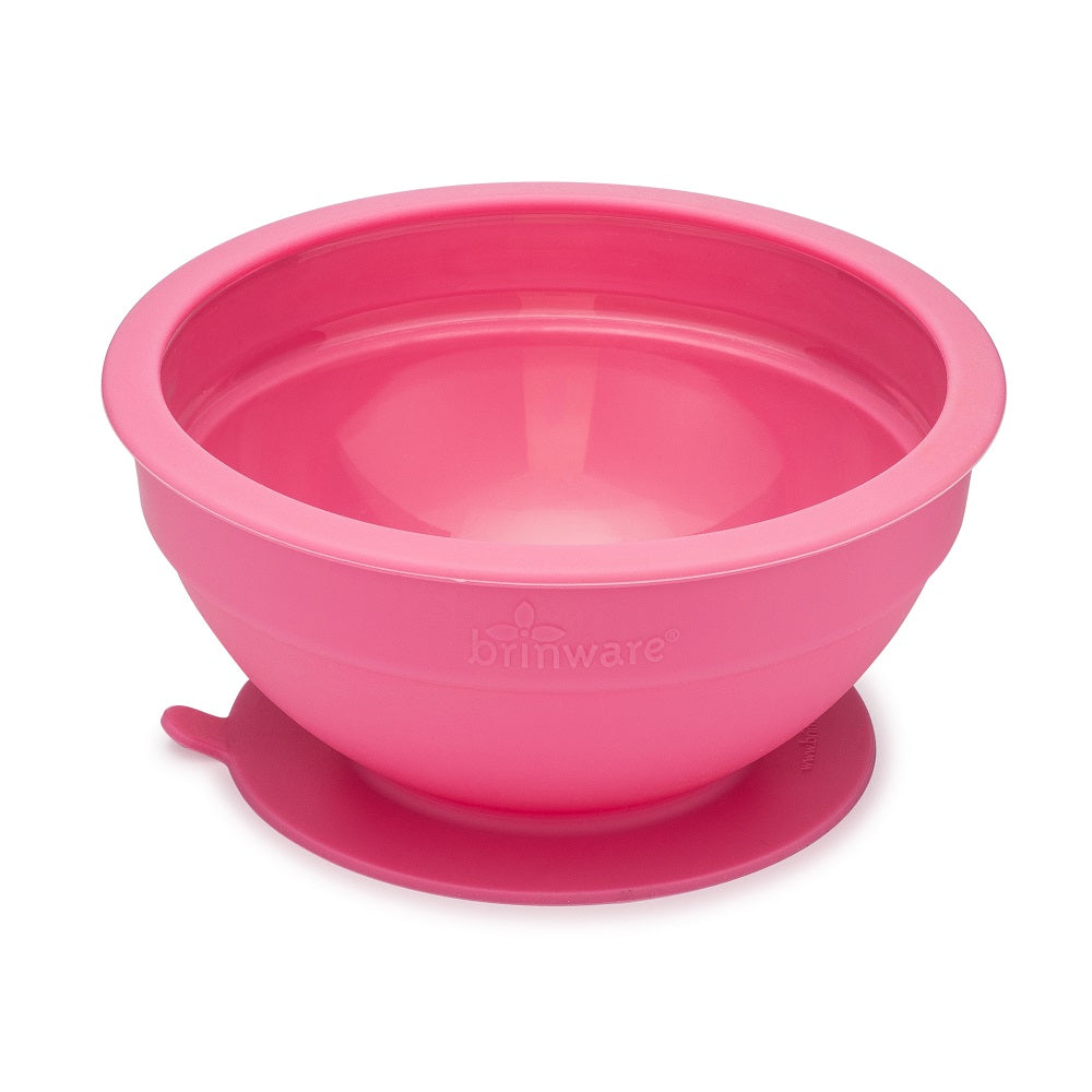 Glass and Silicone Suction Bowls Set of 2 (Pink & Purple) – Brinware